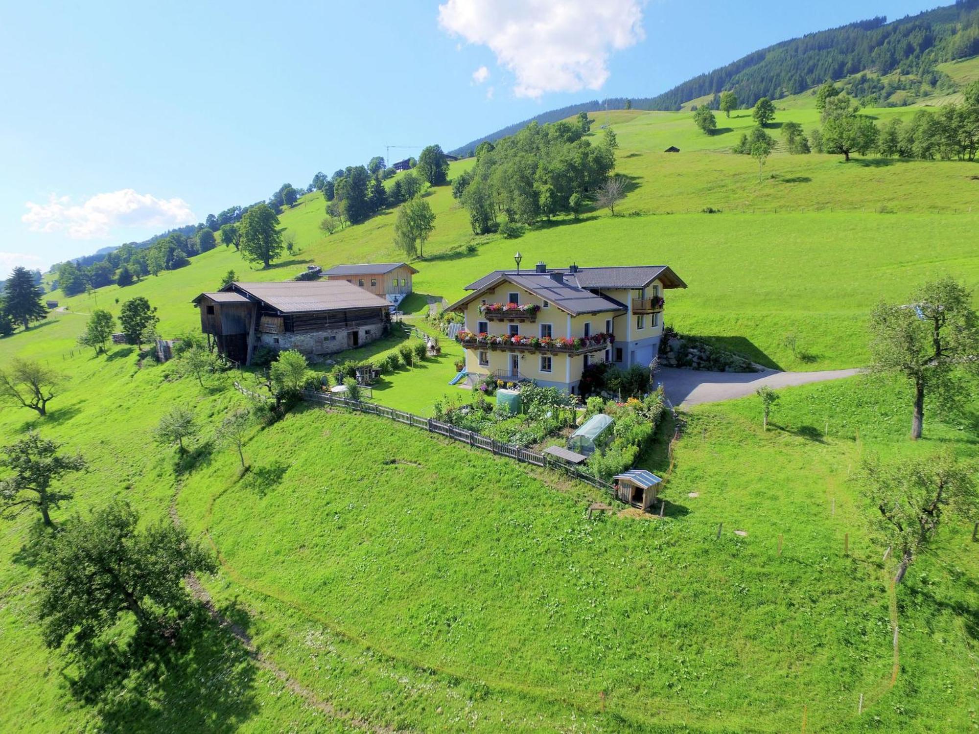 Cosy Holiday Flat In A Farmhouse Taxenbach Buitenkant foto